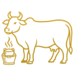Desi Cow & Buffalo Milk